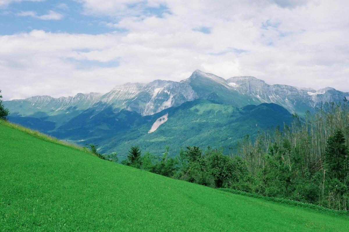 Soca Valley Berghaus 科巴里德 外观 照片